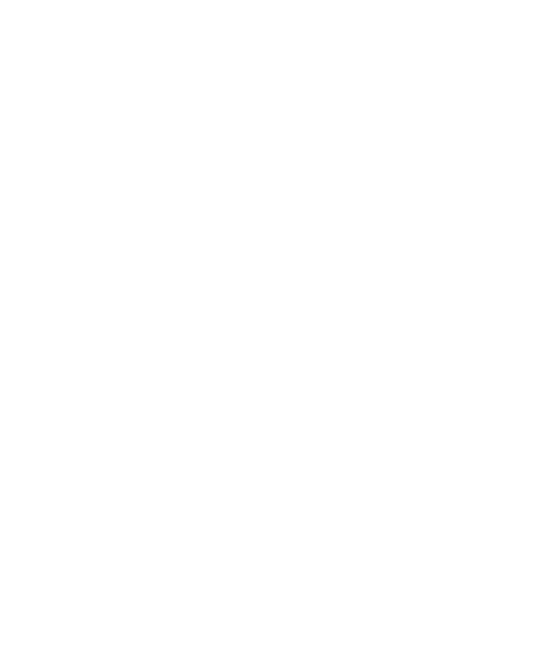 Sk Capital